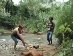 Vidio Viral Penyiksaan Satwa Langka Sumatera, BKSDA Agam Turun Tangan