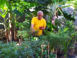 Pessel Punya Potensi Pengembangan Agrowisata