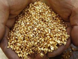 Lima Penambang Emas di Solok Selatan Tertimbun, Hanya 1 yang Orang Selamat
