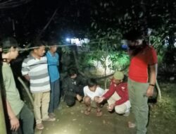 Reserse Narkoba Pasbar Amankan Tersangka Penyalahgunaan Narkoba