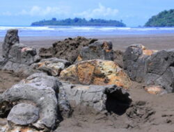 Heboh Harga Karcis, Dinas Pariwisata Padang Sebut Tarif Masuk Pantai Air Manis Dipungut Pemuda Setempat