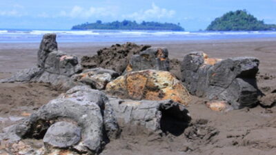 Heboh Harga Karcis, Dinas Pariwisata Padang Sebut Tarif Masuk Pantai Air Manis Dipungut Pemuda Setempat