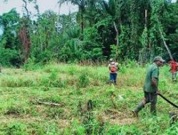 Warga Kampung Dorba Siapkan Lahan TMMD Bersama Satgas