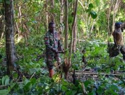 Pembersihan Lahan Guna Pembangunan Fasilitas Warga