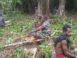 TMMD: Pembukaan Lahan untuk Perkebunan