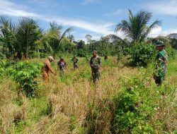 Lokasi Sasaran Balai Kampung Dorba Pada TMMD 111