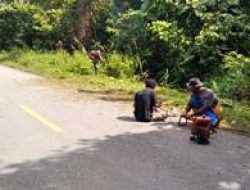 Warga dan Satgas TMMD Laksanakan Pembabatan Rumput Jalan Raya