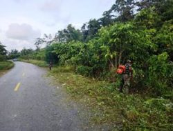 Pembabatan Rumput Pinggir Jalan Dilakukan dengan Trengginas