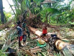 Babinsa Pantai Timur Bantu Warga Tokok Sagu