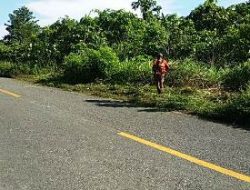 Babinsa Lakukan Pembabatan Rumput di Pinggiran Jalan Lokasi TMMD