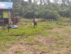 Pembersihan Keliling Halaman Gereja dan Rumah Pastori TMMD Kodim Sarmi