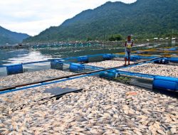 Bupati Agam Minta Masyarakat Serius Dalam Penyelamatan Danau Maninjau