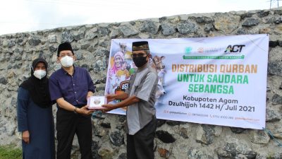 Global Qurban ACT Bukittinggi Salurkan Sapi dari Donatur