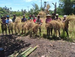 TMMD: Petani Kampung Dorba Ucapkan Terima Kasih kepada TNI