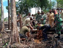 Anggota Satgas TMMD Dan Warga Menanam Pohon