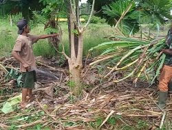 Pembersihan dan Pembabatan di Area Balai Kampung TMMD