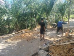 Antusias anak-anak melihat pekerjaan TMMD 111 Kodim 1202/Skw