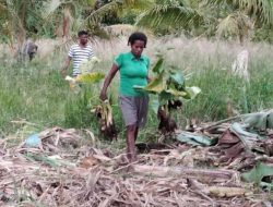 Warga Kampung Dorba Olah Makanan untuk Satgas TMMD