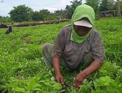 TMMD: Aktivitas Warga Tak Boleh Luput dari Pandangan Prajurit