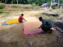Anggota Satgas Bantu Warga Jemur Jagung