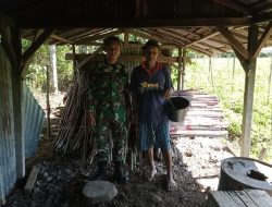 Bersama Orang Tua Asuh Anggota Satgas TMMD Ke-111 Kodim 1202/Skw Mencari Sayur Di Kebun