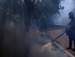 Marak Petugas Fogging Ilegal Minta Uang, Ketua RT Diminta Tolak Cepat
