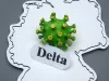 Para Ahli Sebut Varian Virus Delta Cepat Menular