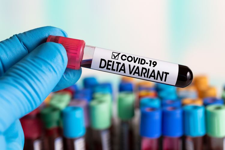 Varian 'Delta Plus' Ditemukan di Dua Wilayah RI, Salah Satunya Jambi