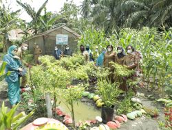 Desa Taman Sari menjadi Desa Pembinaan