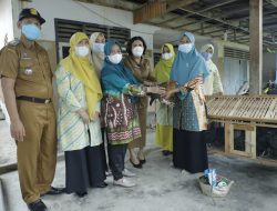 Sosialisasi Tanaman Toga Resmi Dibuka, ini Kata Ketua TP PKK Asahan
