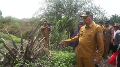 Bupati Pasbar Tinjau Lahan Sengketa Masyarakat Manggonang dengan PT. Anam Koto