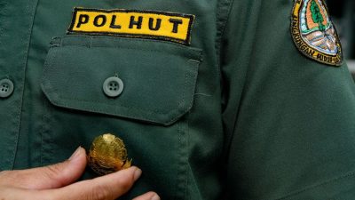 Sumbar Kekurangan Polisi Kehutanan dan Penyuluh Kehutanan