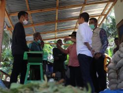 Dua Sentra Ternak di Sumbar Resmi Dilaunching Kadis Sumbar.