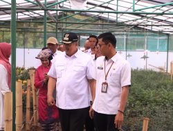 Wako Solok Hadiri Penyerahan Simbolis TJSL Bantuan Sarana dan Prasarana Kawasan Agrowisata Payo