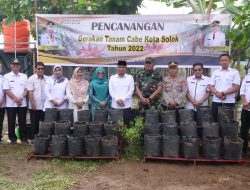 Pemko Solok Canangkan Gerakan Tanam Cabe