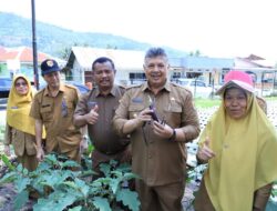 Wako Solok Panen Simbolis Di Kebun Forkopimda