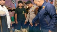 Polsek Pulau Punjung Amankan 185 Liter Miras Ilegal