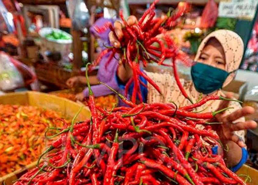 harga-cabai-di-pasar-padang-panjang-mulai-turun