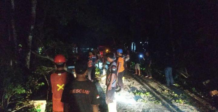 pohon-tumbang-timpa-jalan-kabupaten-di-padang-pariaman,-satu-orang-alami-luka