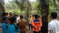 Seorang Warga di Pesisir Selatan Dilaporkan Hilang, Diduga Diterkam Buaya saat Cari Sayur Kangkung