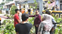 Pj. Walikota Payakumbuh Instruksikan BPBD Pantau Potensi Pohon Tumbang