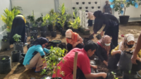 Dinas Pangan Kota Solok Ajak Masyarakat Manfaatkan Pekarangan Untuk Diversifikasi Pangan