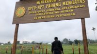 Libur Lebaran, Nikmati Pesona Mini Ranch Sijawi Padang Mengatas
