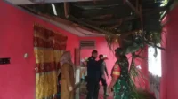 Gerak Cepat, Pemko Payakumbuh Bantu Rumah Warga Tertimpa Pohon
