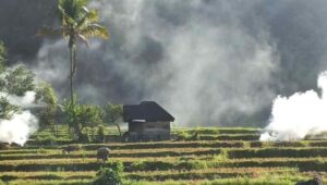 Kemendagri Verifikasi 13 Nagari Agam Siap Didefinitifkan