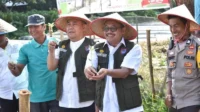 Pemko Payakumbuh Galakkan Penanaman Cabai untuk Kendalikan Inflasi