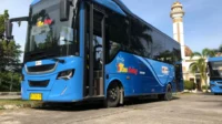 Pemko Padang Tinjau Bus Listrik dengan Shenzhen Bus Group