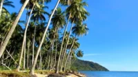 Yuk Liburan Seru dan Terjangkau di Pantai Nirwana Padang