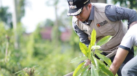 Wawako Solok Pimpin Penanaman Pohon Peringati Hari Lingkungan Hidup Sedunia