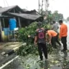 hujan-dan-angin-kencang-landa-pariaman,-sejumlah-pohon-tumbang-tutupi-akses-jalan